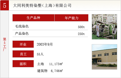 大同利美特染整（上海）有限公司