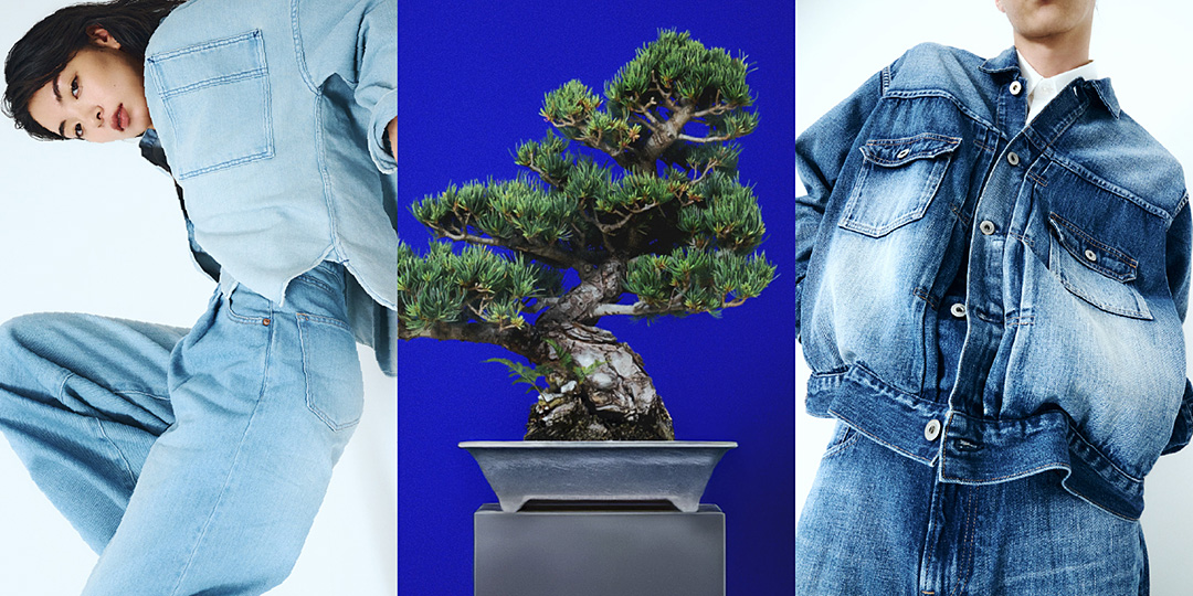 photo:Japan Blue Jeans