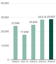 Net Sales