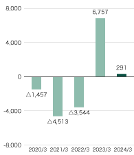 Net Income