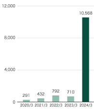 Capital Expenditure